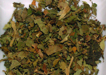 Patchouli